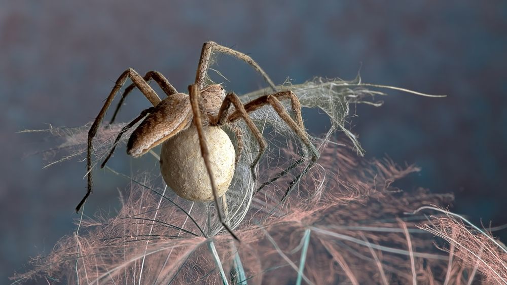 Photograph by Людмила Железнова