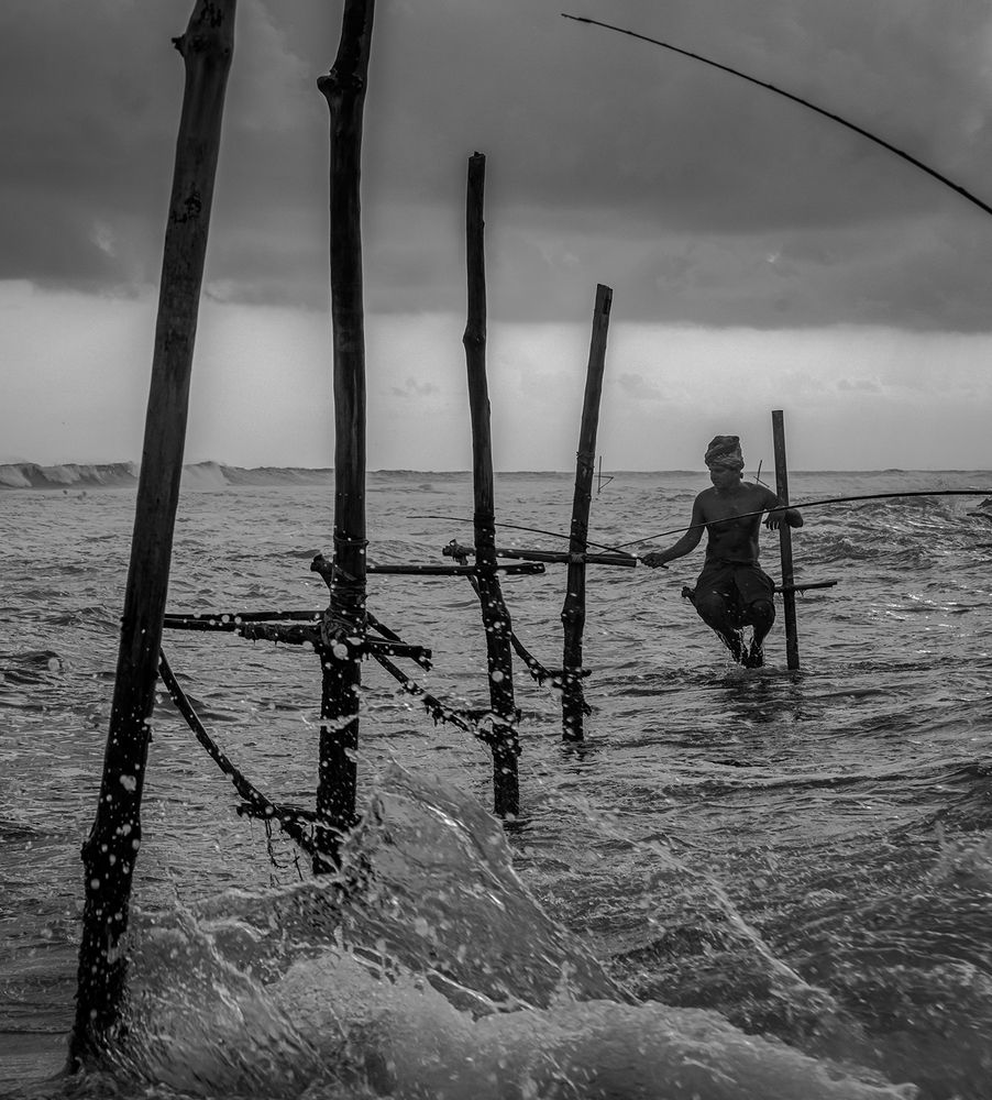 Фотография автора  Laddu Sasindu Pramuditha De Silva