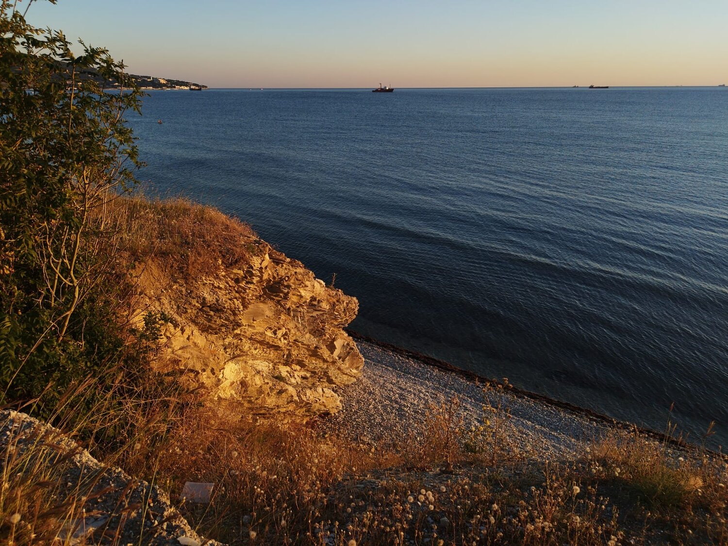 Photo #12411032