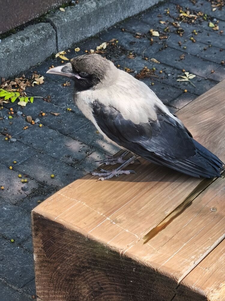 Photograph by Rein Mändaru