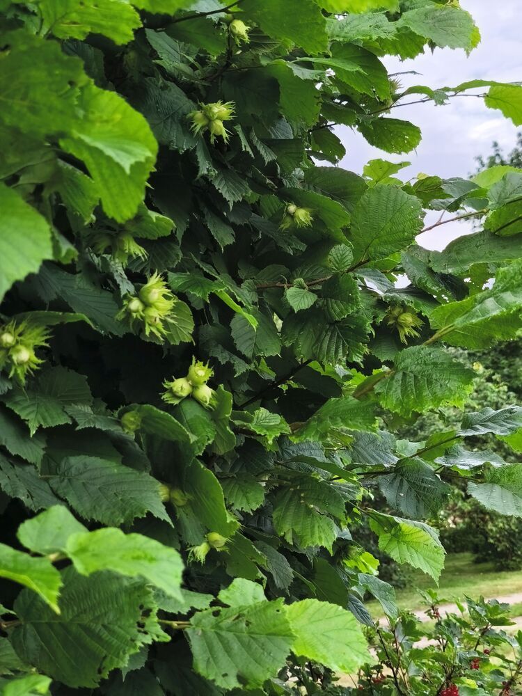 Photograph by Rein Mändaru