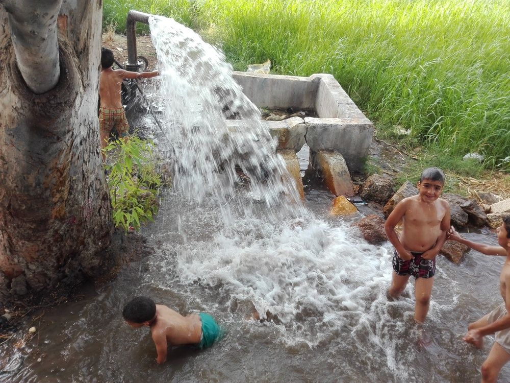 Фотография автора Adel elqamhawi Mohamed