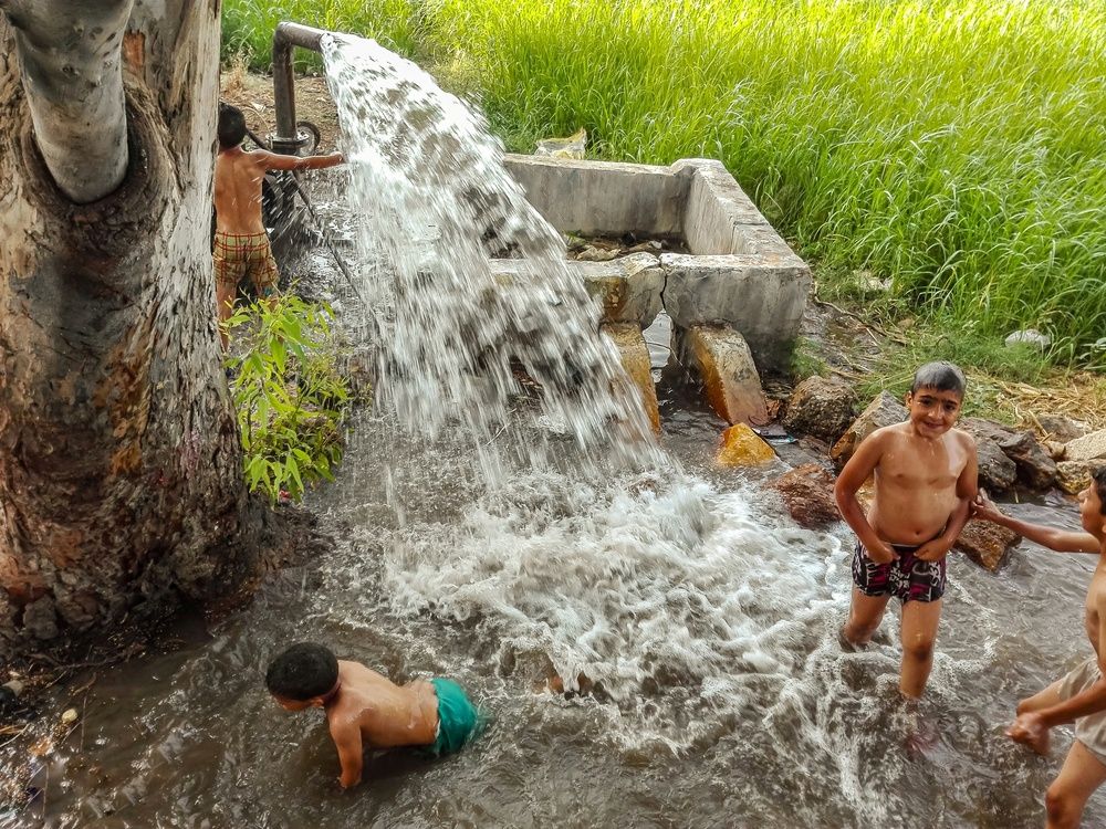 Фотография автора Adel elqamhawi Mohamed