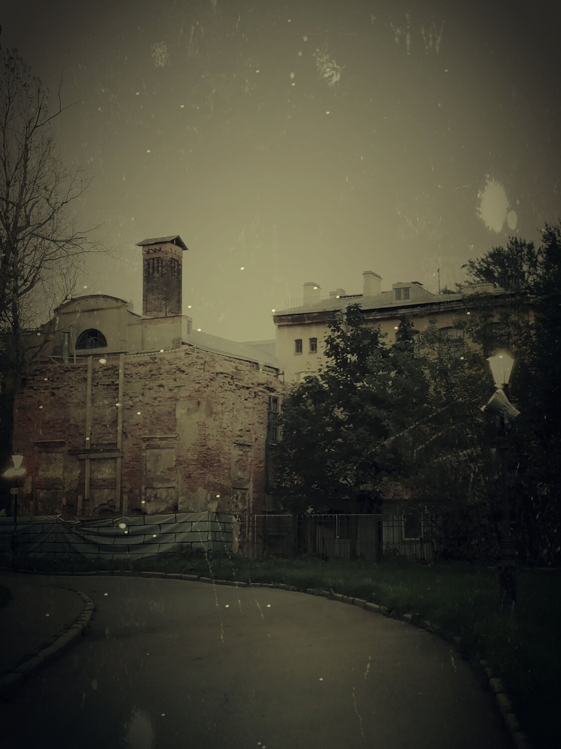 Photo #12411135