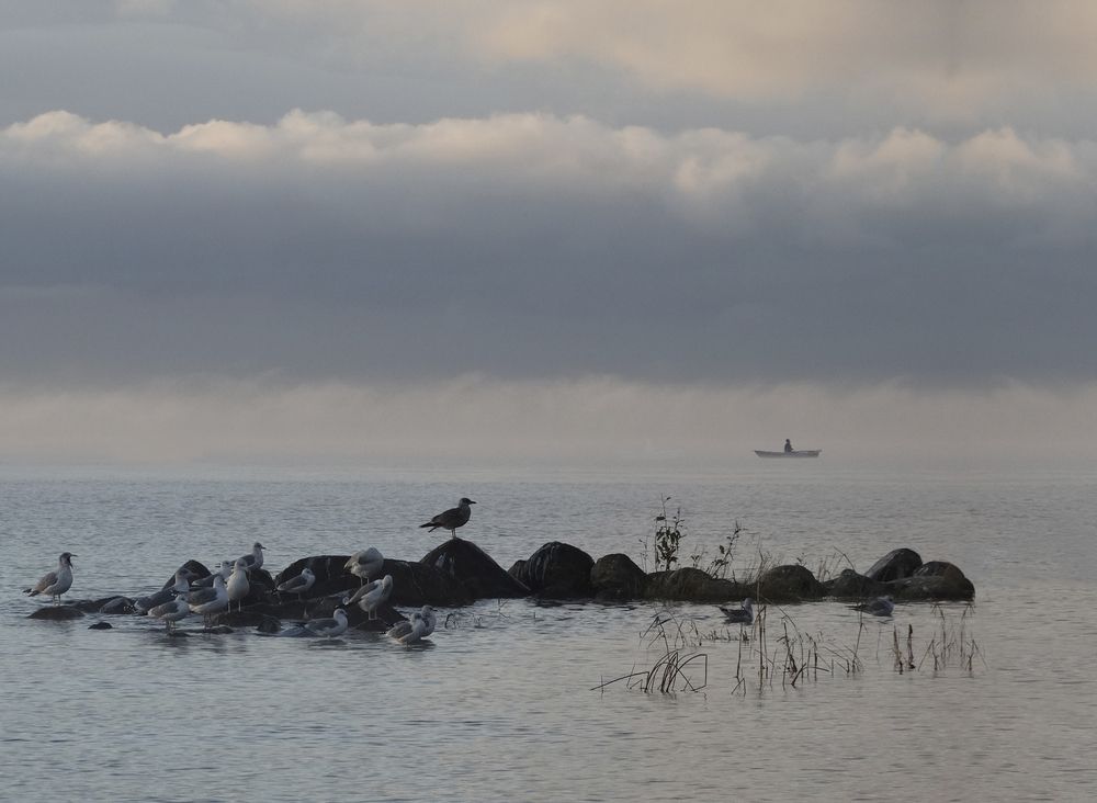 Photograph by ILONA OTRUTSKAYA