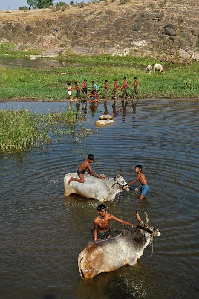 Фотография автора NARAYAN PATEL