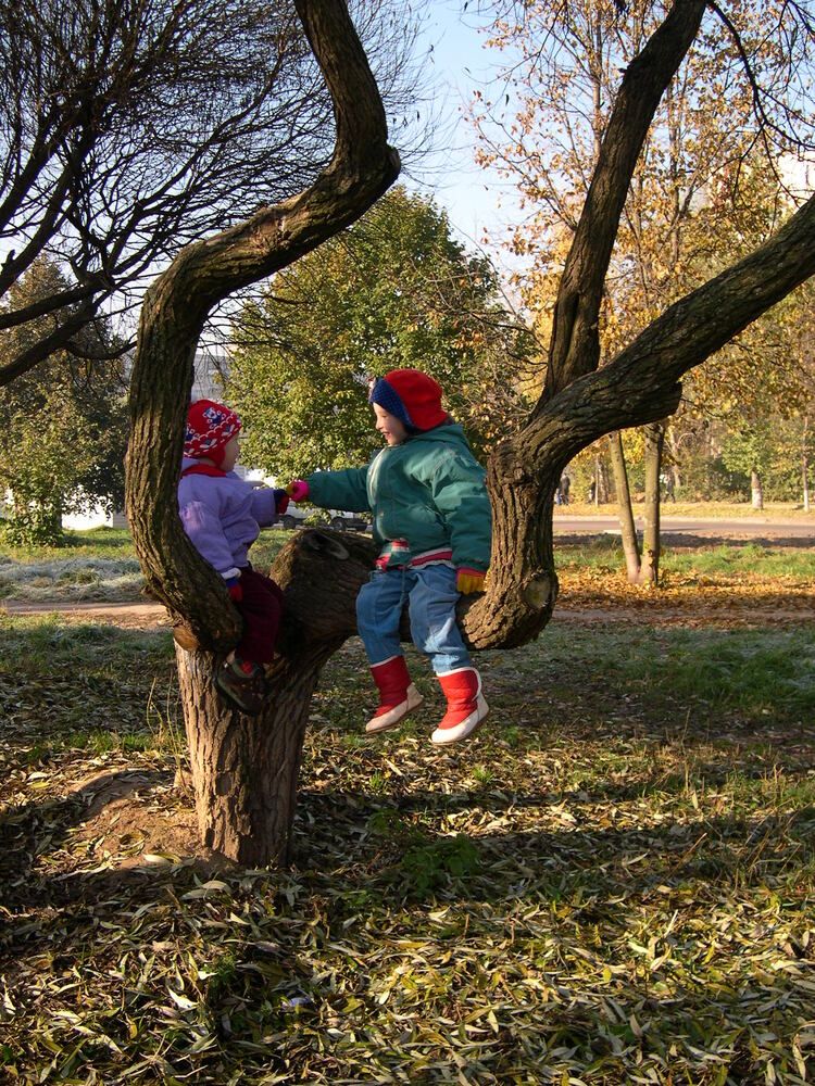 Photograph by Светлана Верзилина