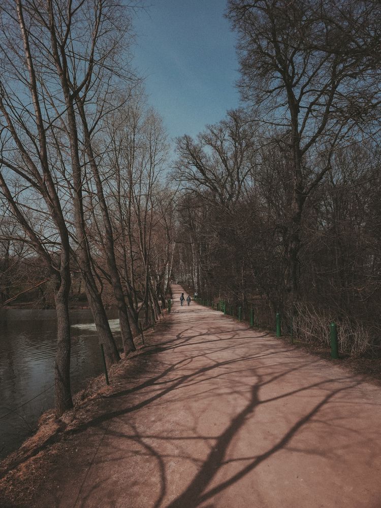 Фотография автора Екатерина Проплеткина