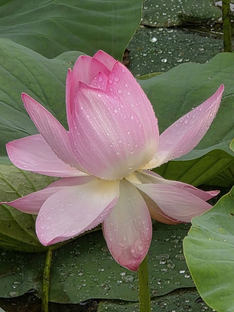 Photograph by Куделенко Оксана