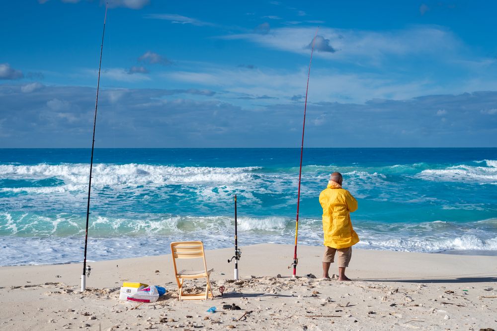 Photograph by Moataz Helmy