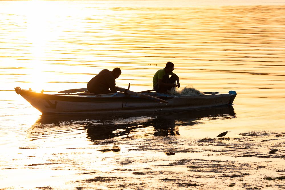 Photograph by Moataz Helmy