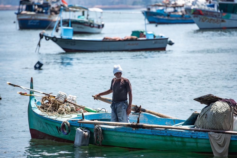 Photograph by Moataz Helmy