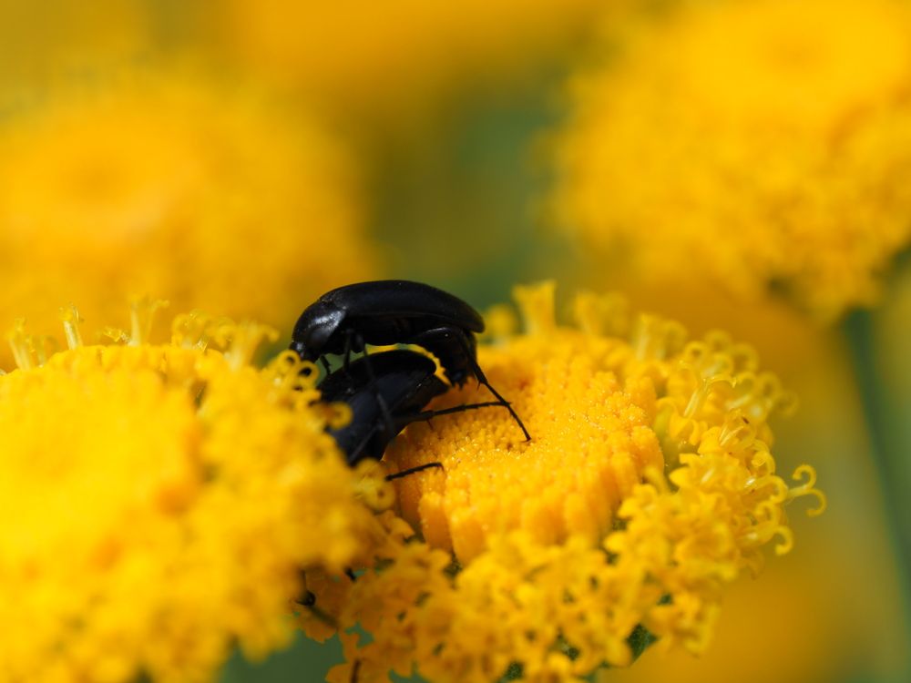 Photograph by Сергей Борисов