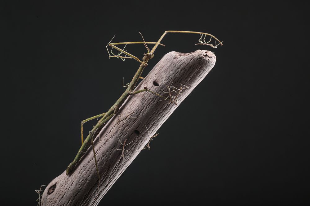 Сложности материнства