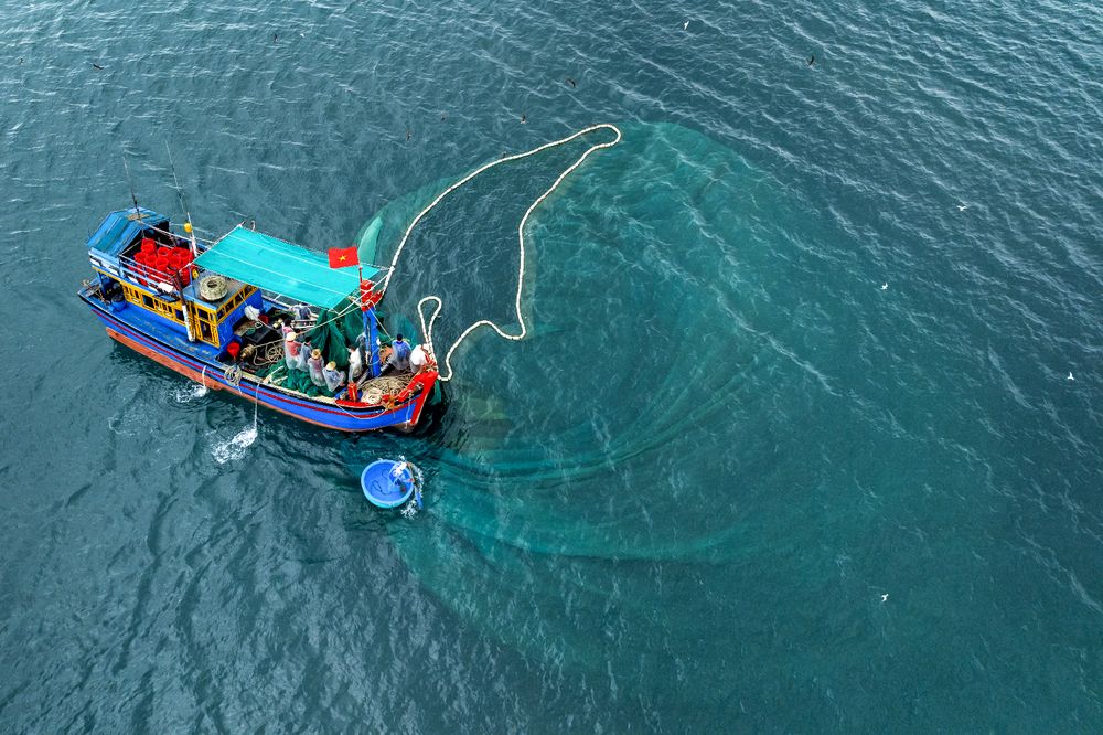 Photograph by Viet Hung Bui