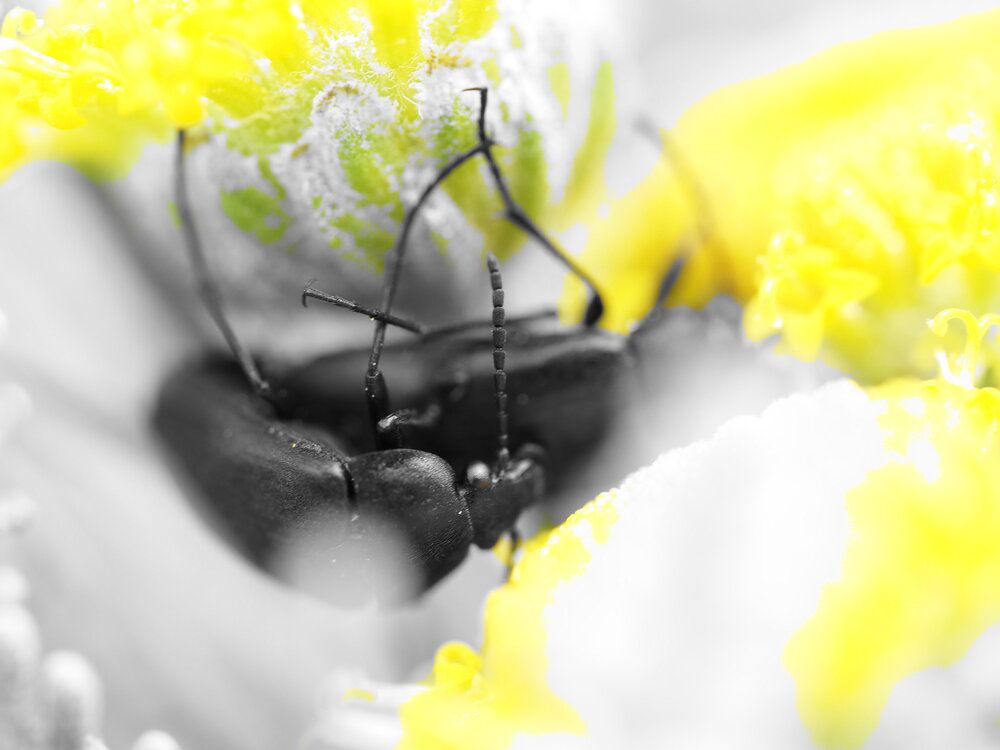 Photograph by Сергей Борисов