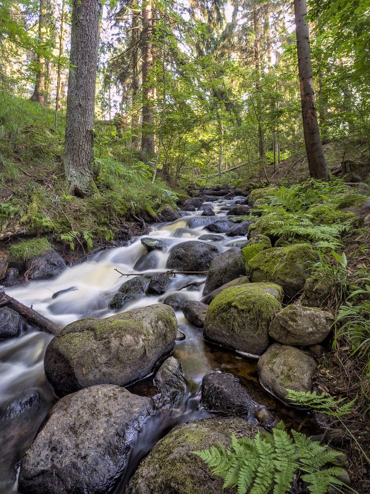 Photograph by Сергей Пимонов