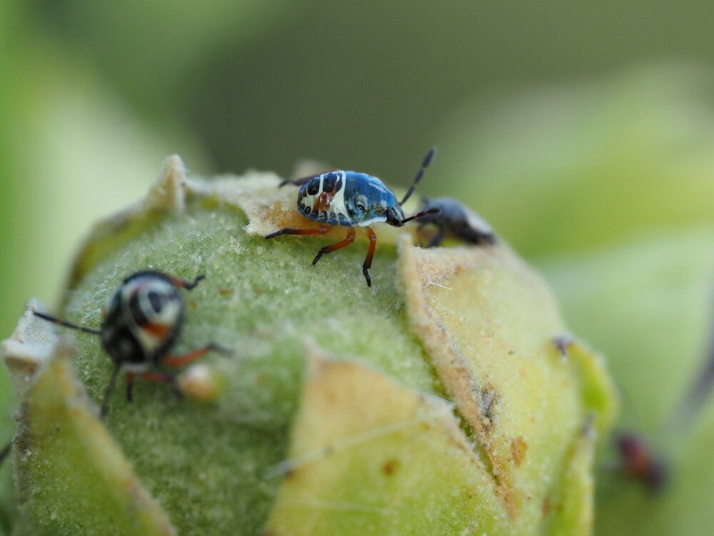Photograph by Сергей Борисов