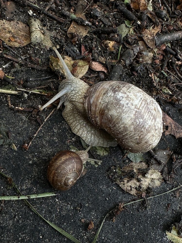 Photograph by Екатерина Балакина