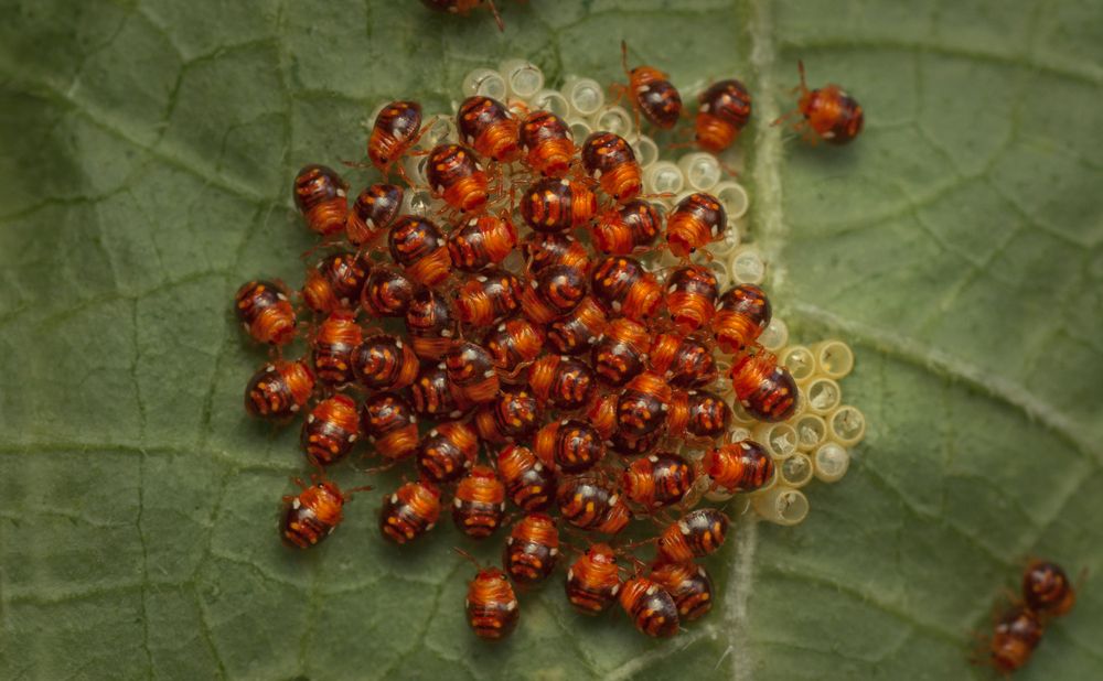 Фотография автора Тараненко Анжелика