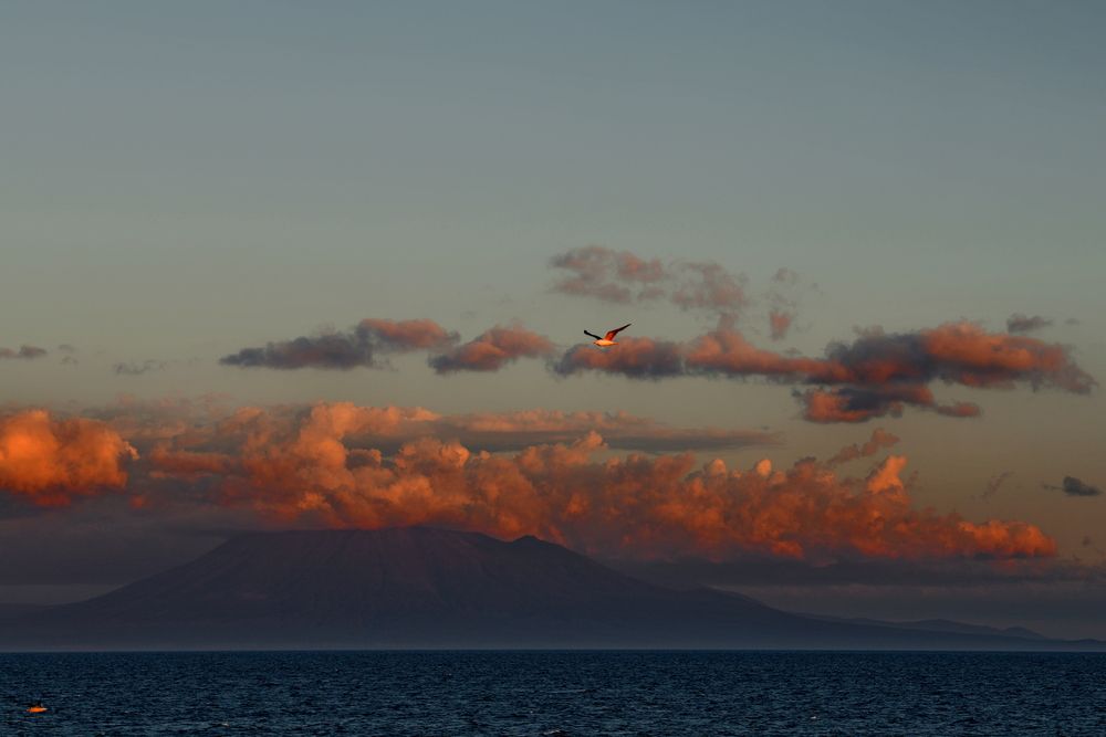 Photograph by Олег Корешонков