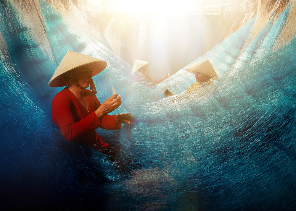 Photograph by Halo Nguyen