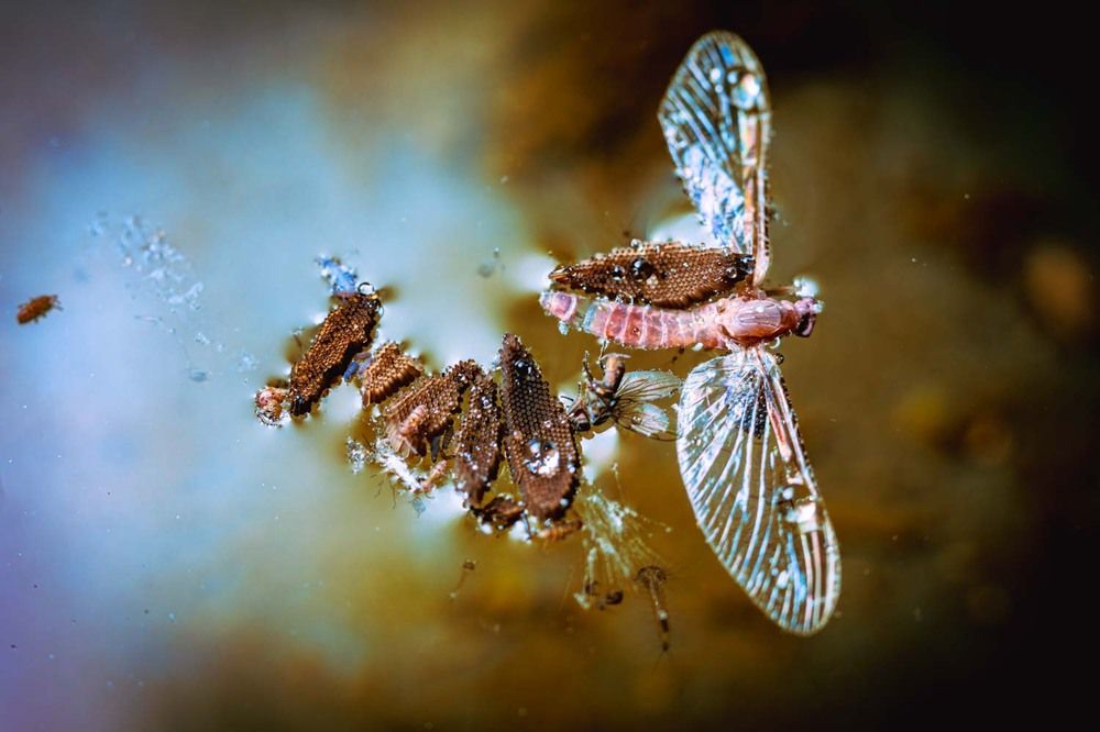 Photograph by Сергей Назаредский