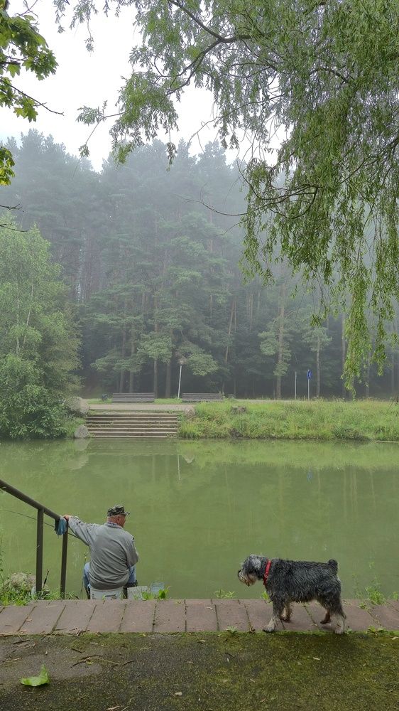 Photograph by Нина Старкова