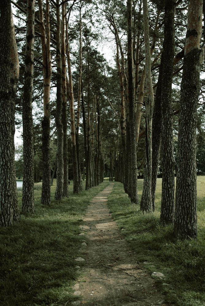 Фотография автора Крутяков Арсений