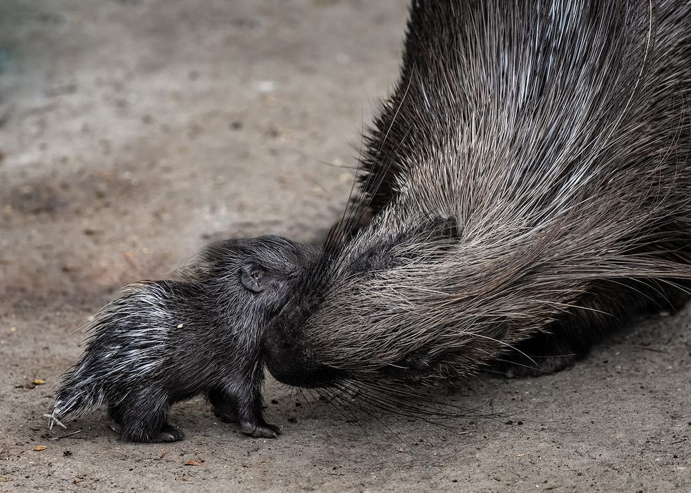 Photograph by Vladimir Ostapenko