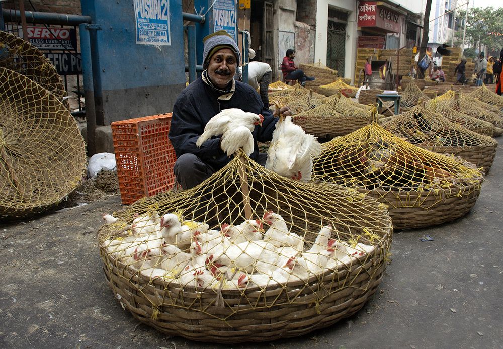 Photograph by Nilanjan Saha