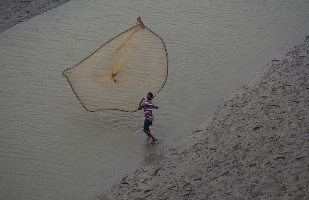 Фотография автора Nilanjan Saha