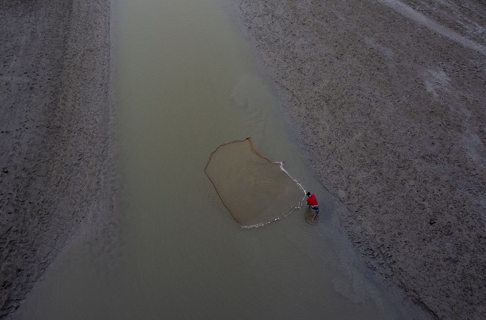 Фотография автора Nilanjan Saha