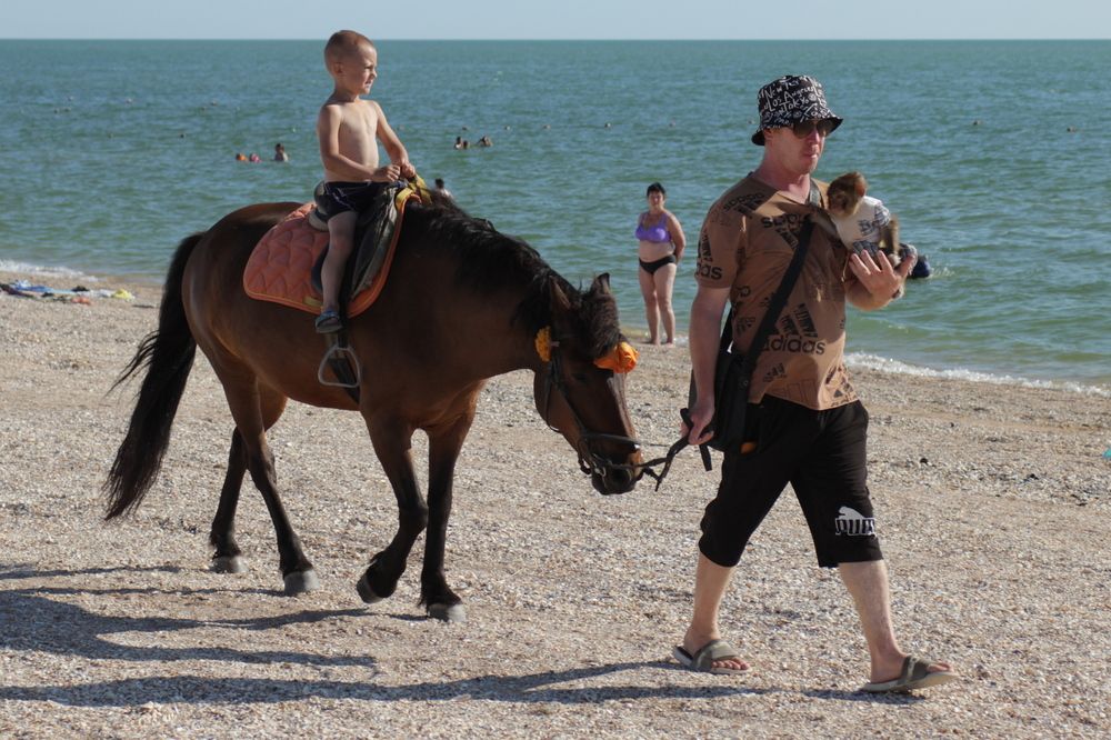 Photograph by Александр Велигура