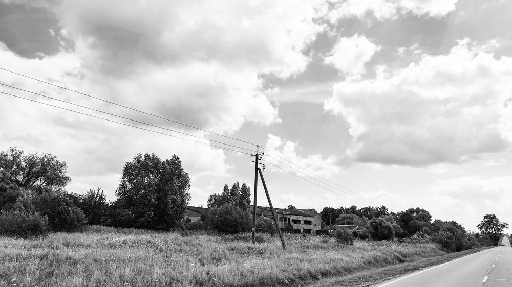 Photo #12412325