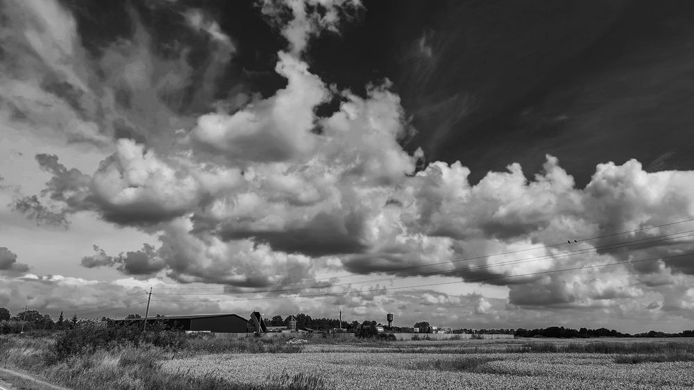Photo #12412326