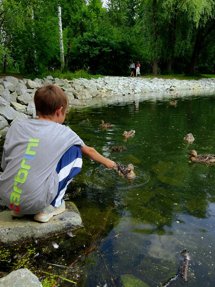 Photograph by Константин Шипицын