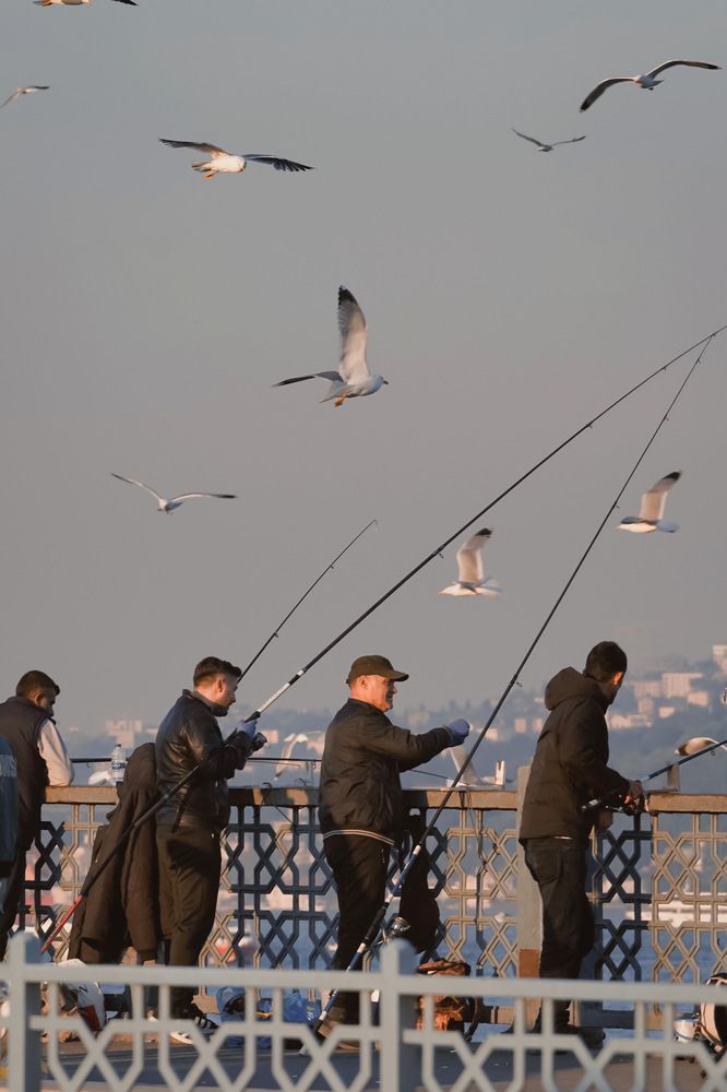 Фотография автора Henri Fitriadi