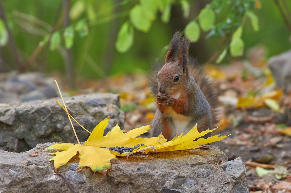 Photograph by Павел Сторчилов