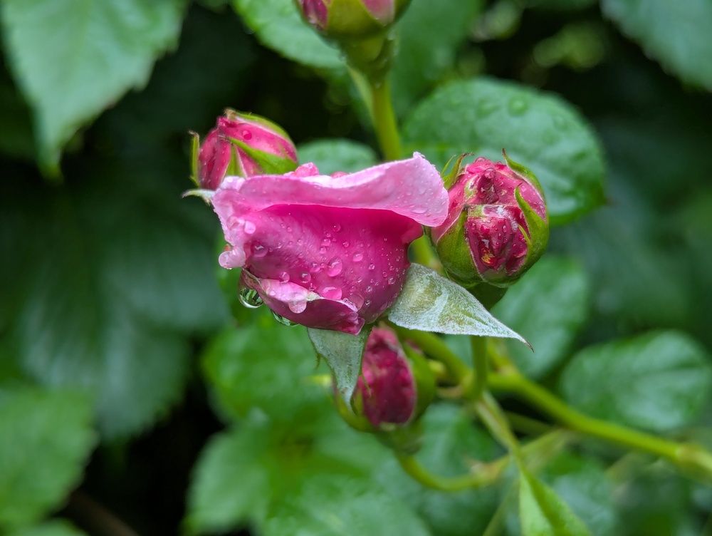 Photograph by Виктор Поверенов