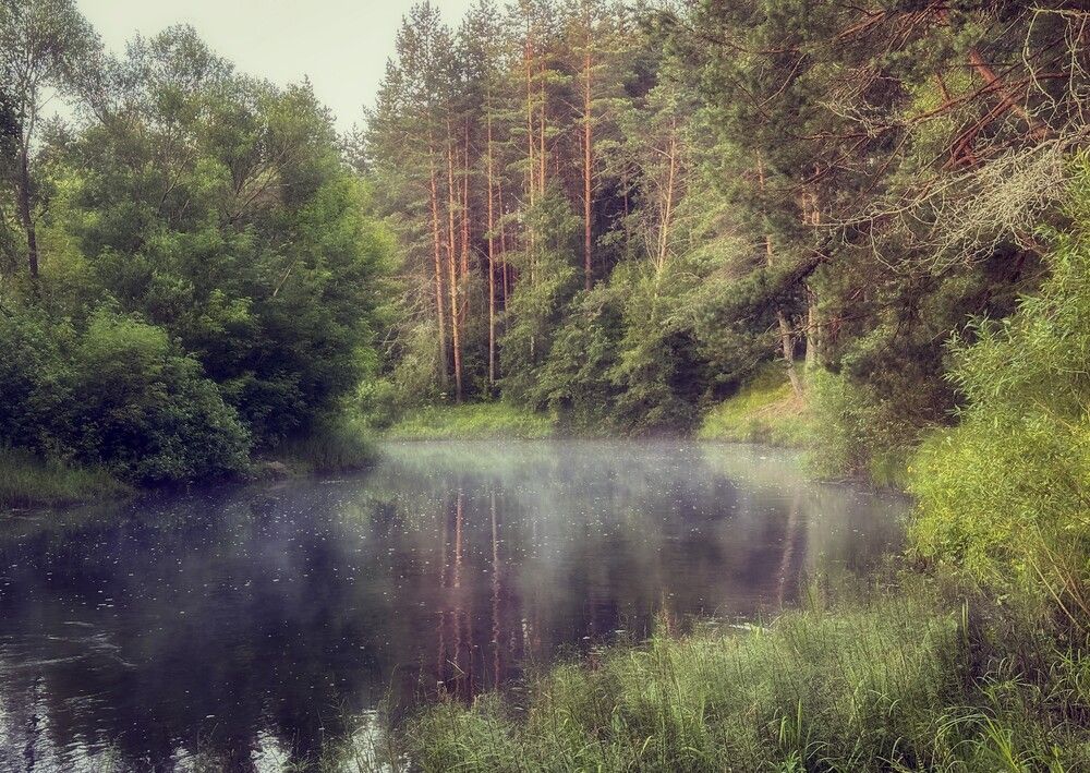 Photograph by Анна Панеева