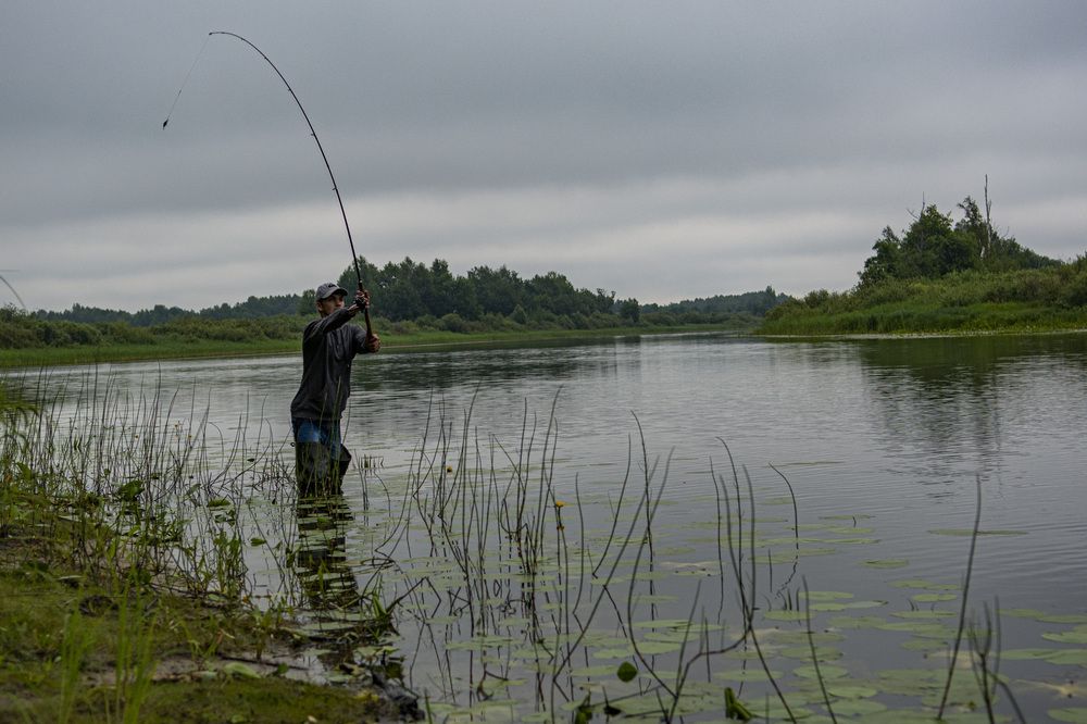 Photograph by Игорь Смирнов
