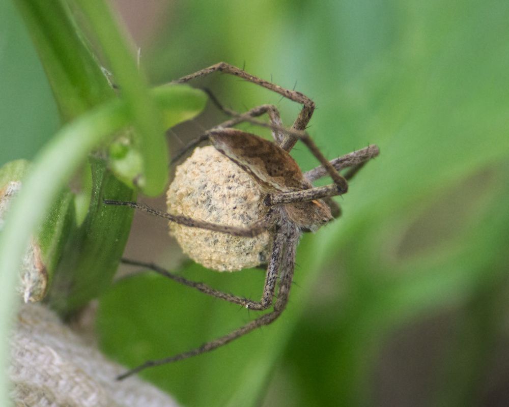Фотография автора Борис Журавлёв