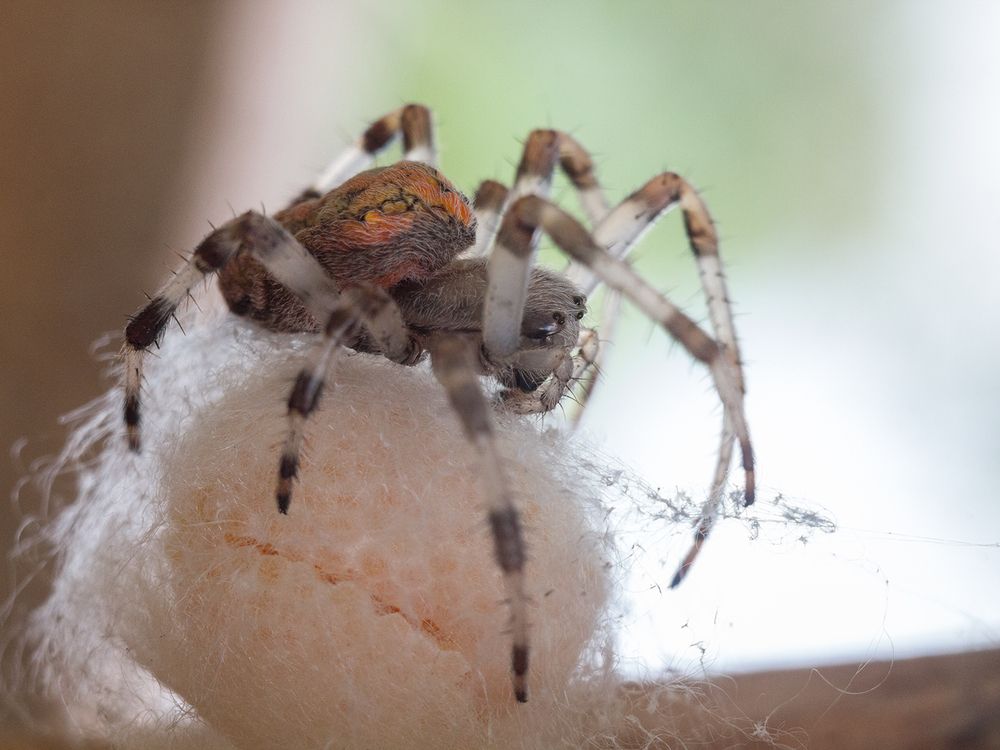 Photograph by Борис Журавлёв