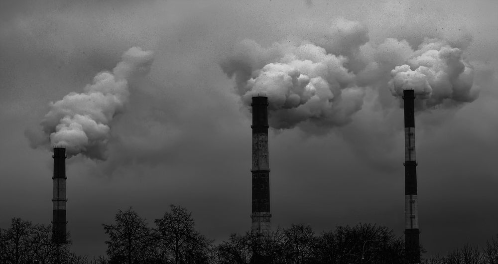 Photograph by Алексей Парамонов