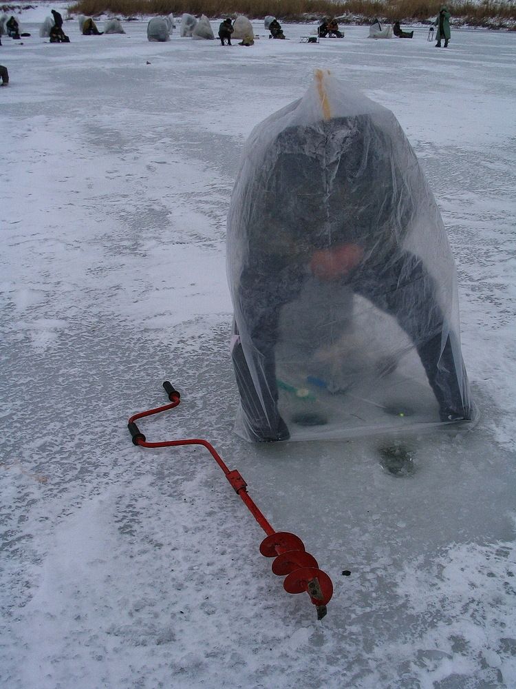 Фотография автора Александр Челмодеев