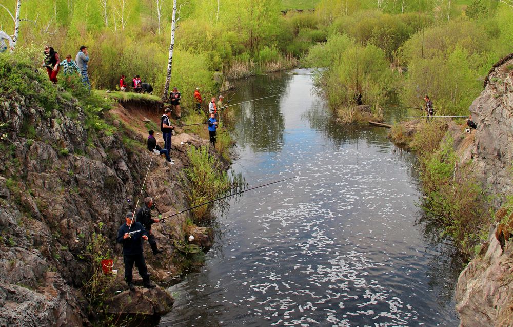 Photograph by Андрей Стародубцев