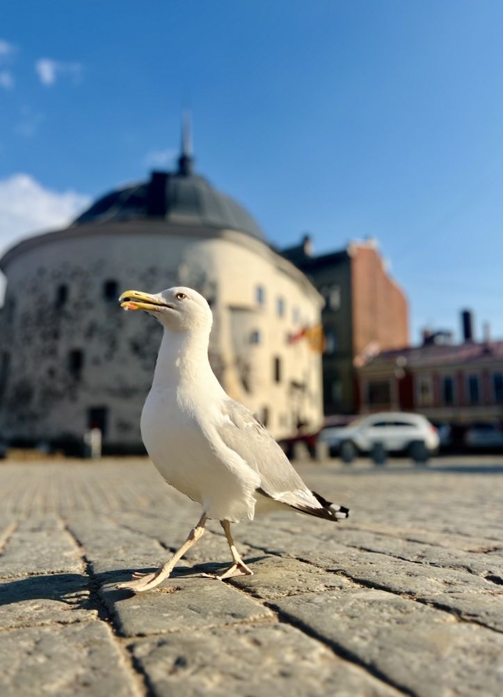 Photograph by Natalia Levenih