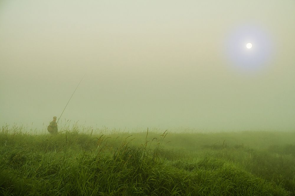 Photograph by Андрей Сафонов