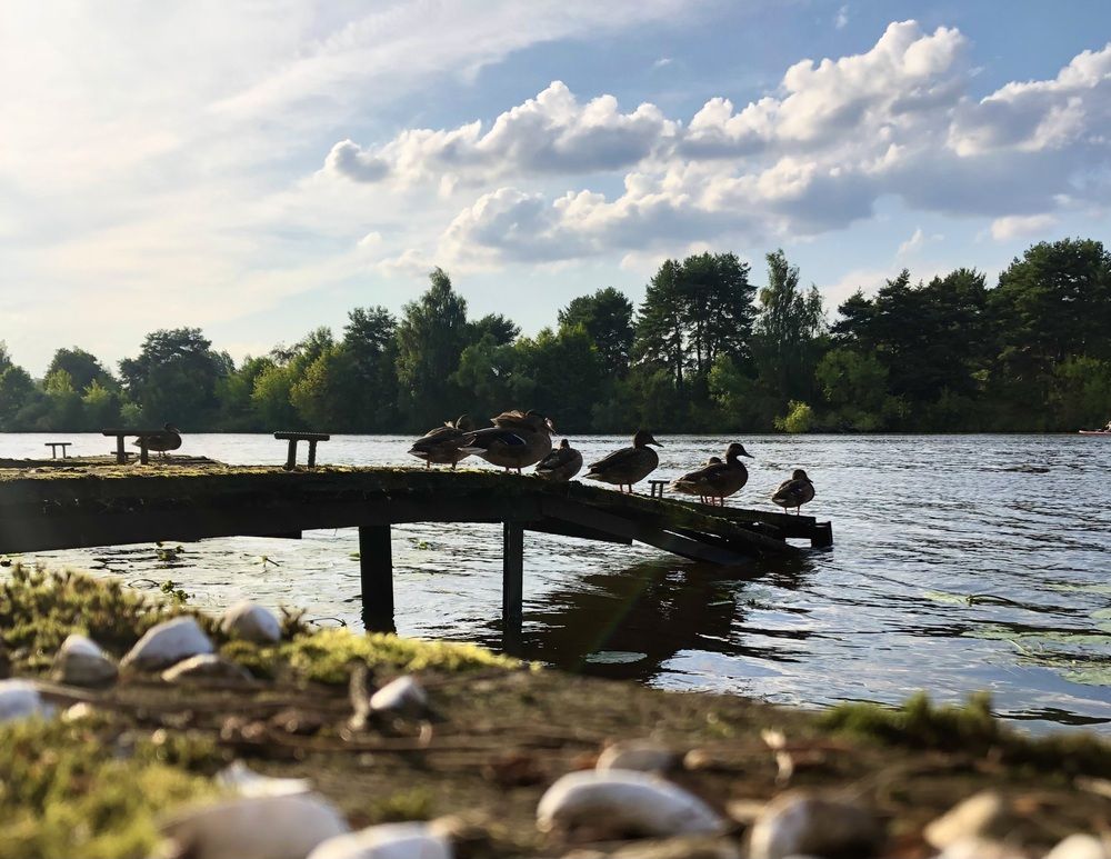 Photograph by Маргарита Гострик